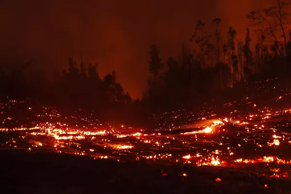 De acuerdo con los reportes del Ministerio del Interior chileno, más de 45.000 hectáreas de bosque fueron devorados por el fuego. Actualmente hay 251 incendios activos en el país.En la foto: un incendio forestal cerca de la ciudad de Puren. De acuerdo con los reportes del Ministerio del Interior chileno, más de 45.000 hectáreas de bosque fueron devorados por el fuego. Actualmente hay 251 incendios activos en el país.En la foto: un incendio forestal cerca de la ciudad de Puren. - Sputnik Mundo