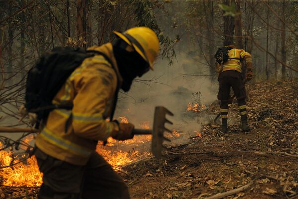 Miles de policías, bomberos y militares participan en las labores de rescate. Hay 74 piezas de equipos terrestres especializados, seis aviones y los recursos de la Infantería de Marina.En la foto: la extinción de un incendio forestal en Nacimiento. Miles de policías, bomberos y militares participan en las labores de rescate. Hay 74 piezas de equipos terrestres especializados, seis aviones y los recursos de la Infantería de Marina.En la foto: la extinción de un incendio forestal en Nacimiento. - Sputnik Mundo