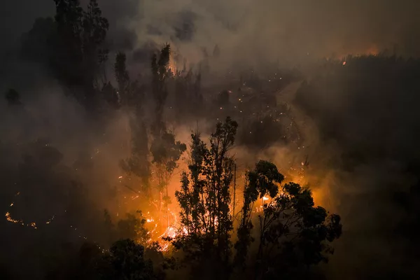 El presidente chileno, Gabriel Boric, agradeció la ayuda de su homólogo argentino, Alberto Fernández. Las autoridades colombianas anunciaron el envío a Chile de un avión con especialistas para ayudar a combatir los incendios forestales. El presidente chileno, Gabriel Boric, agradeció la ayuda de su homólogo argentino, Alberto Fernández. Las autoridades colombianas anunciaron el envío a Chile de un avión con especialistas para ayudar a combatir los incendios forestales. - Sputnik Mundo