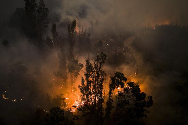 El presidente chileno, Gabriel Boric, agradeció la ayuda de su homólogo argentino, Alberto Fernández. Las autoridades colombianas anunciaron el envío a Chile de un avión con especialistas para ayudar a combatir los incendios forestales. El presidente chileno, Gabriel Boric, agradeció la ayuda de su homólogo argentino, Alberto Fernández. Las autoridades colombianas anunciaron el envío a Chile de un avión con especialistas para ayudar a combatir los incendios forestales. - Sputnik Mundo