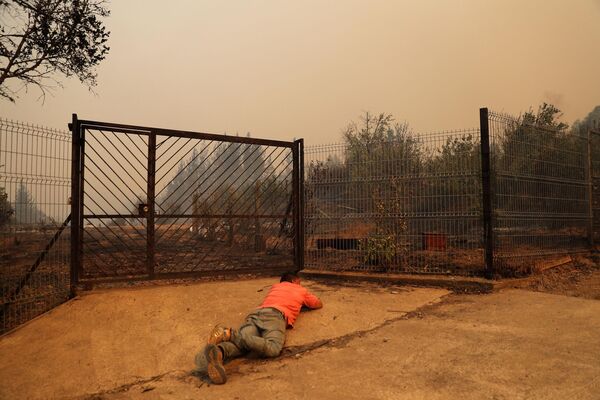 Los incendios forestales en Chile han comenzado en medio de varios años de sequía y calor anormal, las temperaturas han alcanzado los 40 grados centígrados en las zonas del sur del país. Los meteorólogos predicen que la temperatura anormal continuará en 7 de las 16 regiones de Chile hasta el 8 de febrero. Los incendios forestales en Chile han comenzado en medio de varios años de sequía y calor anormal, las temperaturas han alcanzado los 40 grados centígrados en las zonas del sur del país. Los meteorólogos predicen que la temperatura anormal continuará en 7 de las 16 regiones de Chile hasta el 8 de febrero. - Sputnik Mundo