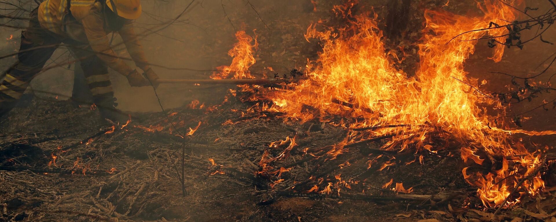 Un brigadista de la Corporación Nacional Forestal (CONAF) combate un incendio en Nacimiento, provincia de Concepción, Chile, el 4 de febrero de 2023 - Sputnik Mundo, 1920, 07.02.2023