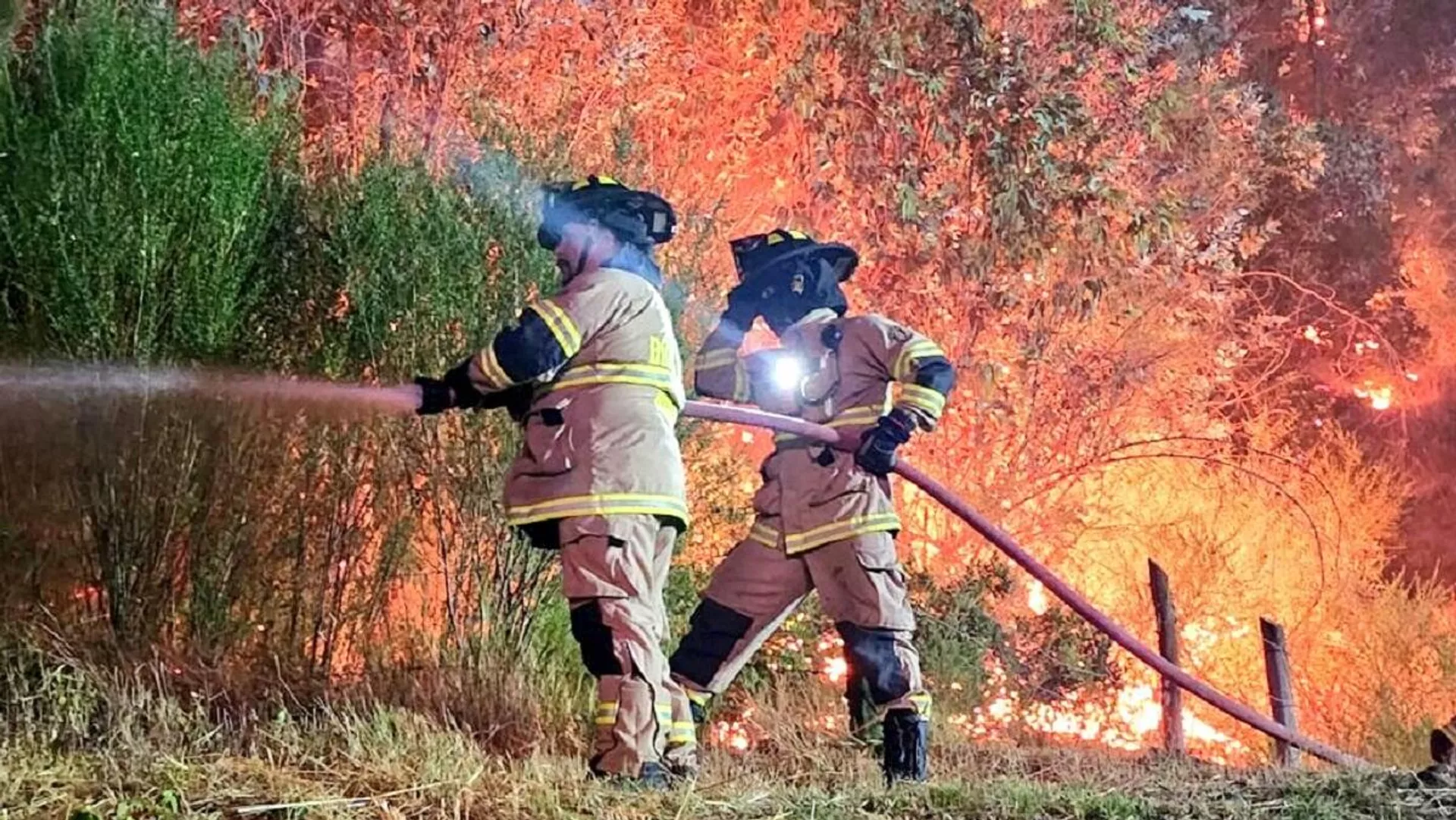 Bomberos combaten incendios forestales en Chile