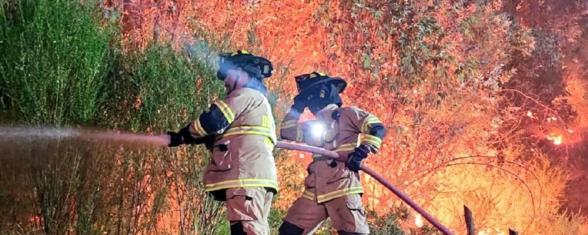 Bomberos combaten incendios forestales en Chile - Sputnik Mundo, 1920, 08.02.2023