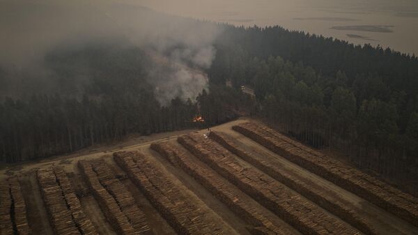 Incendios en Сhile - Sputnik Mundo