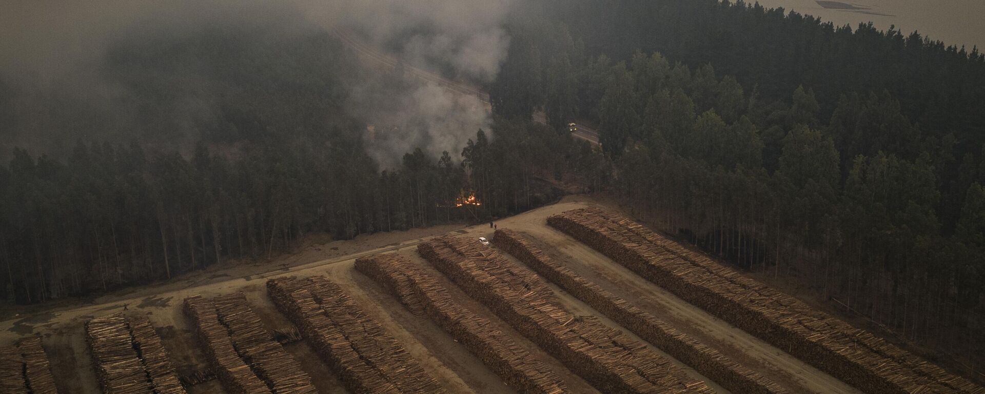 Incendios en Сhile - Sputnik Mundo, 1920, 08.02.2023