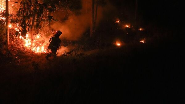 Los incendios en Chile - Sputnik Mundo