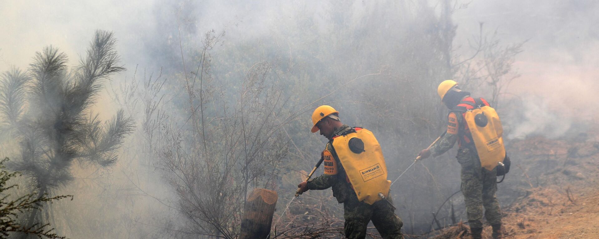 Miembros de la Unidad Militar Mexicana combaten incendios forestales en Santa Juana, Provincia de Concepción, en Chile, el 8 de febrero de 2023 Miembros de la Unidad Militar Mexicana combaten incendios forestales en Santa Juana, Provincia de Concepción, en Chile, el 8 de febrero de 2023 - Sputnik Mundo, 1920, 13.02.2023