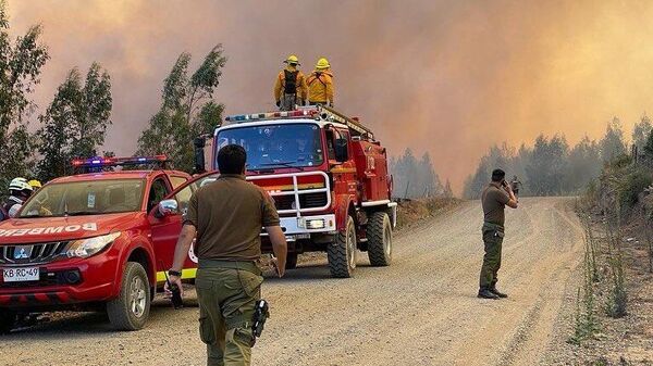 Carabineros (policía militarizada) trabajan durante los incendios forestales, febrero de 2023  - Sputnik Mundo