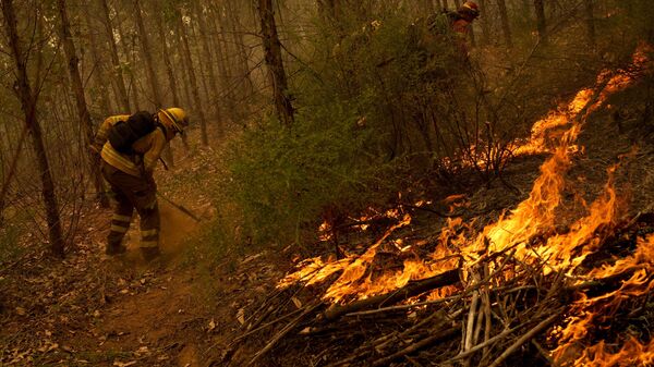 Los incendios de Chile - Sputnik Mundo