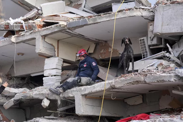 Un socorrista con un perro rastreador busca en un edificio derrumbado en Antakya. Un socorrista con un perro rastreador busca en un edificio derrumbado en Antakya. - Sputnik Mundo