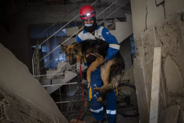 Miembros del grupo turco de protección de animales HAYTAP con un perro rescatado que llevaba siete días atrapado en una casa afectada por el terremoto en el sureste de Turquía. Miembros del grupo turco de protección de animales HAYTAP con un perro rescatado que llevaba siete días atrapado en una casa afectada por el terremoto en el sureste de Turquía. - Sputnik Mundo