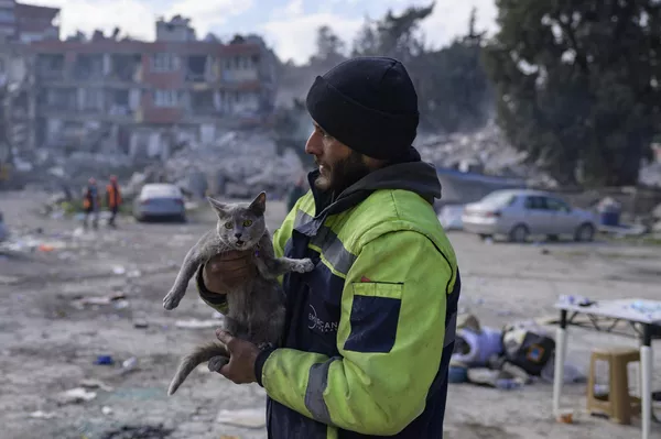 Un rescatista con un gato sacado de los escombros de un edificio de apartamentos en la zona de desescombro de Antakya nueve días después del terremoto en Turquía. Un rescatista con un gato sacado de los escombros de un edificio de apartamentos en la zona de desescombro de Antakya nueve días después del terremoto en Turquía. - Sputnik Mundo