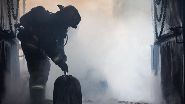 Un bombero (imagen de referencia) - Sputnik Mundo