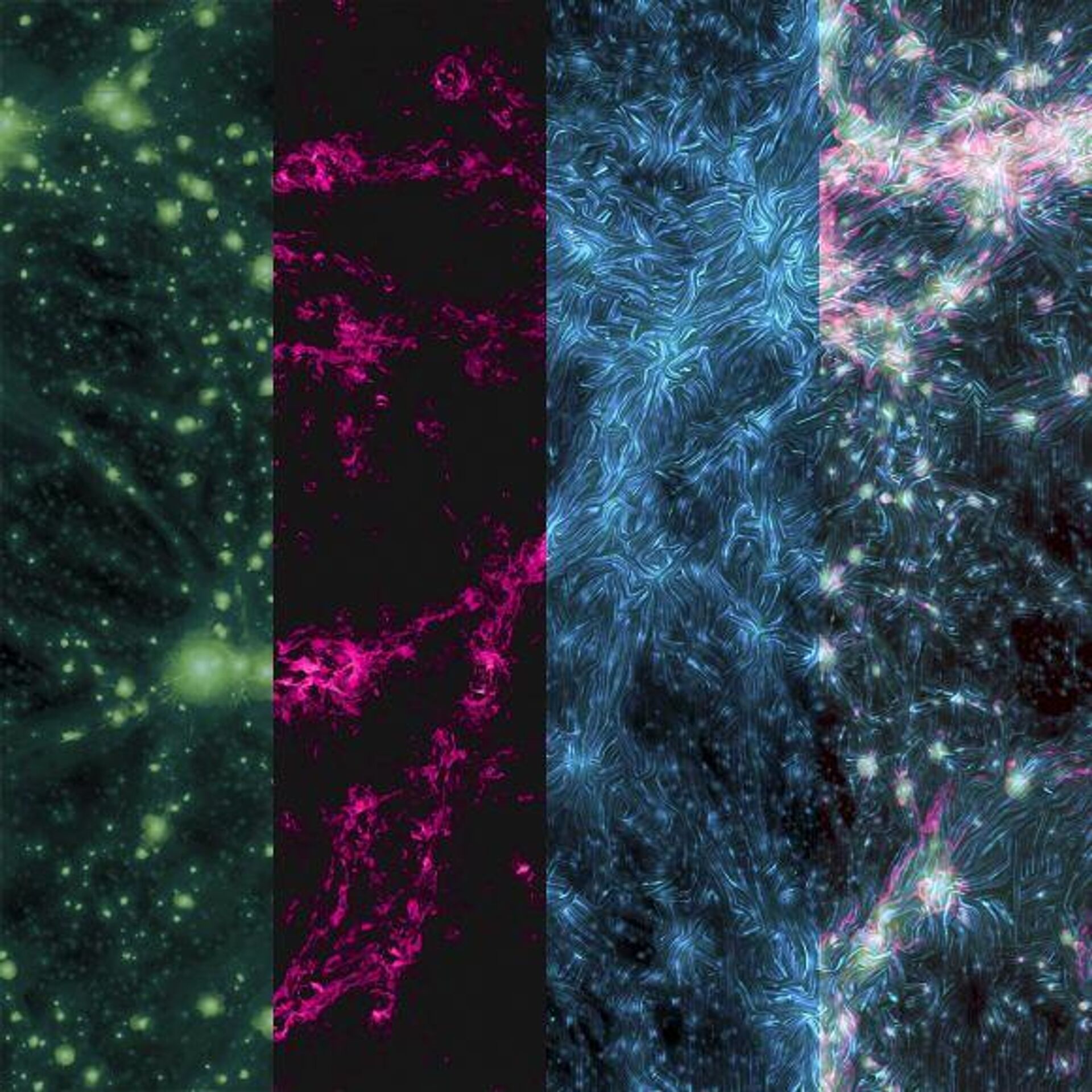 Tres observaciones diferentes de la red cósmica (gas, radio y magnética) acompañadas de una imagen compuesta - Sputnik Mundo, 1920, 27.02.2023