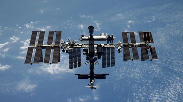 la Estación Espacial Internacional (EEI) - Sputnik Mundo