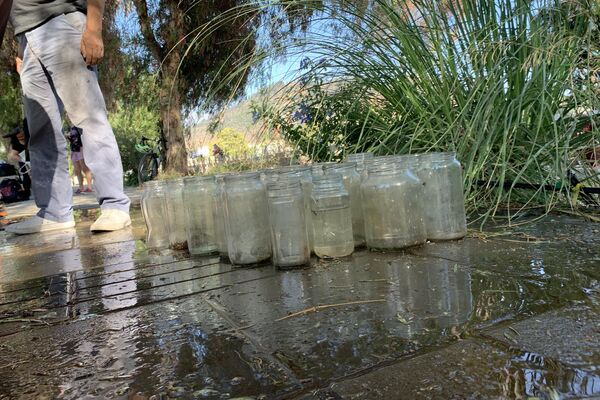 El Patio 29, sector del Cementerio General de Santiago de Chile que guarda los restos de desaparecidos enterrados clandestinamente por la dictadura de Pinochet  - Sputnik Mundo