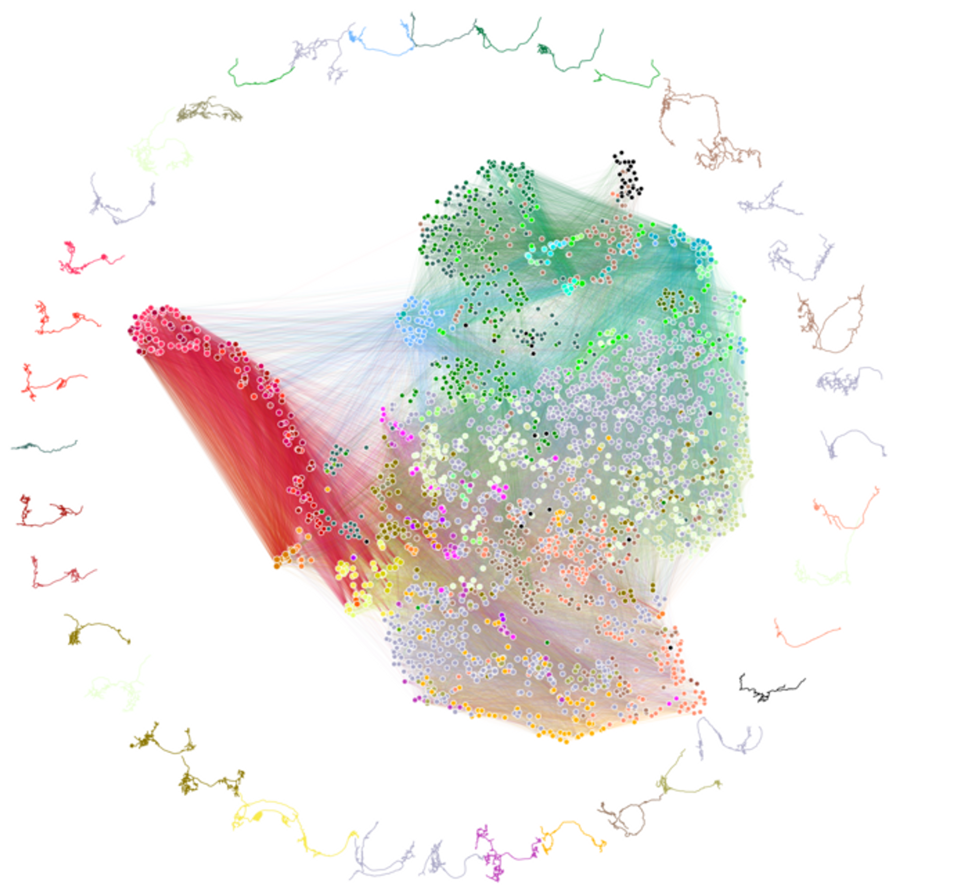 Diagrama que representa la conectividad, donde las neuronas se representan como puntos y las neuronas con una conectividad más similar se trazan más juntas. Las líneas representan las conexiones entre las neuronas. El borde de la figura muestra ejemplos de morfologías neuronales. - Sputnik Mundo, 1920, 12.03.2023