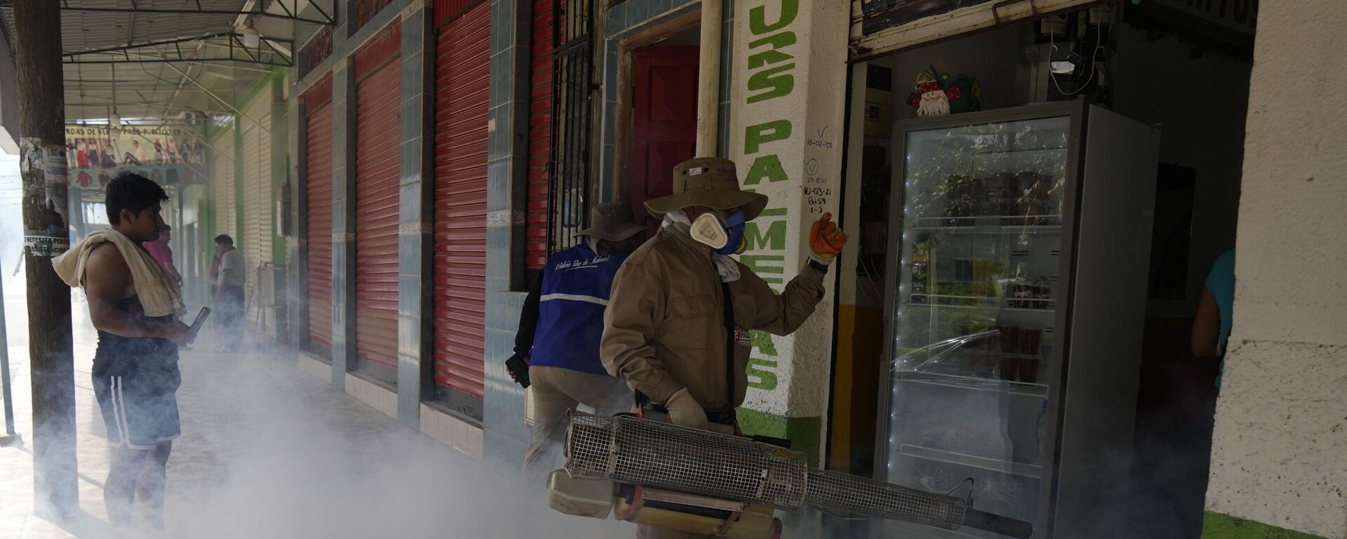 Un trabajador sanitario pulveriza mosquitos para mitigar el dengue en Bolivia - Sputnik Mundo, 1920, 18.03.2024