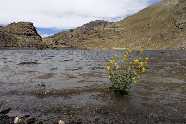 Serranías de Hampaturi, donde se encuentra la represa que sirve de agua a La Paz. - Sputnik Mundo