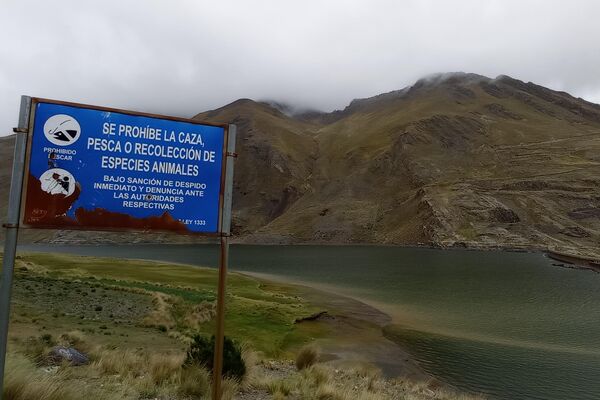 Serranías de Hampaturi, donde se encuentra la represa que sirve de agua a La Paz. - Sputnik Mundo