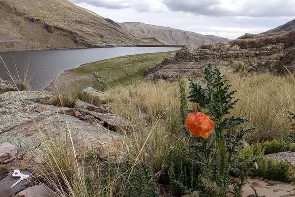 Serranías de Hampaturi, donde se encuentra la represa que sirve de agua a La Paz. - Sputnik Mundo