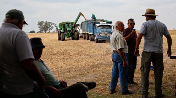 Agricultores argentinos - Sputnik Mundo