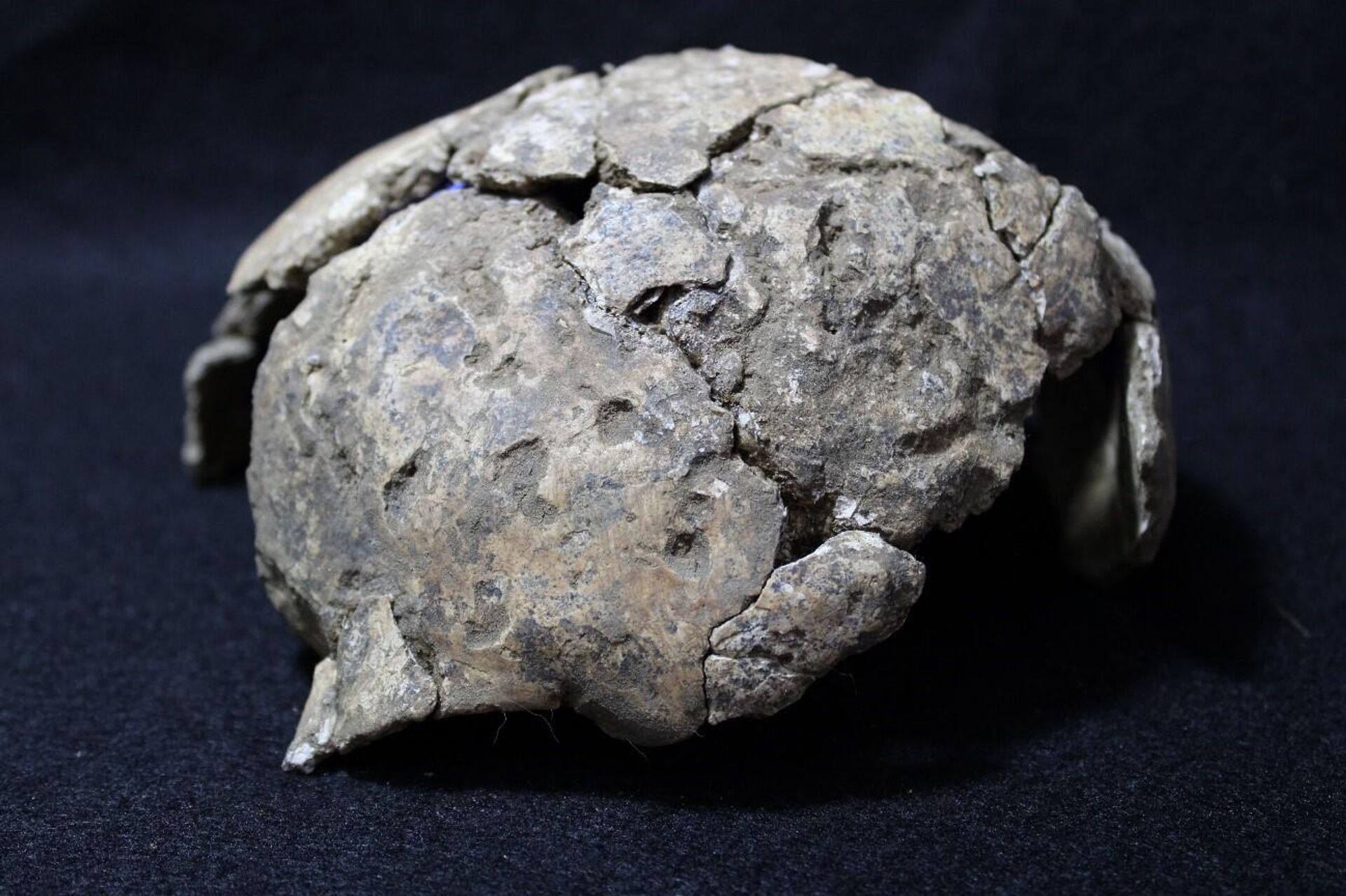 La señora SAS fue hallada en Palenque, México. - Sputnik Mundo, 1920, 17.03.2023