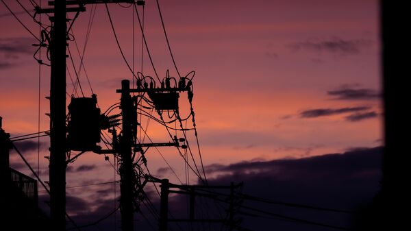 Cableado eléctrico (imagen de referencia) - Sputnik Mundo