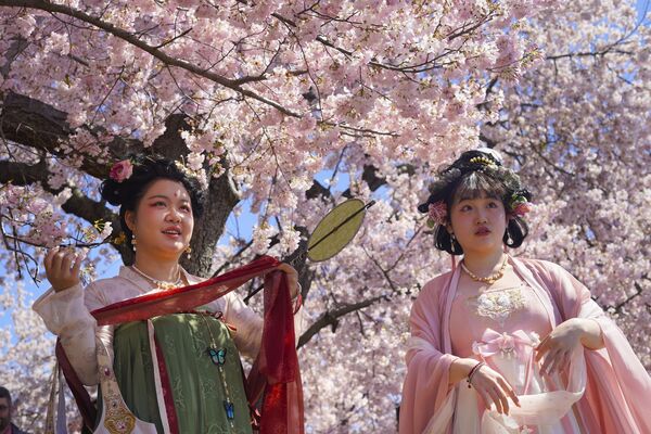 Mujeres en kimono bajo cerezos cubiertos de flores a orillas del Tidal Basin, en Washington, Estados Unidos. - Sputnik Mundo