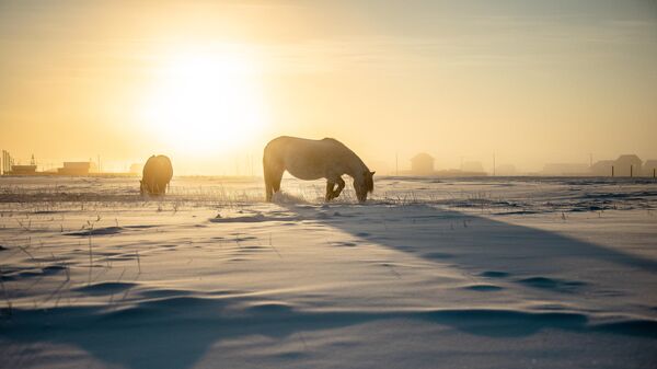 Invierno en Yakutia, Rusia - Sputnik Mundo