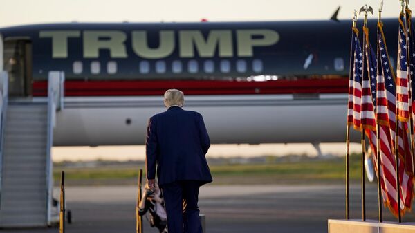 Donald Trump, expresidente de EEUU - Sputnik Mundo