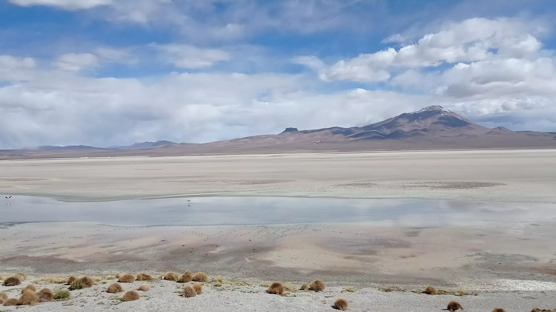 Salar de Uyuni, en el departamento de Potosí, Bolivia - Sputnik Mundo, 1920, 21.08.2023