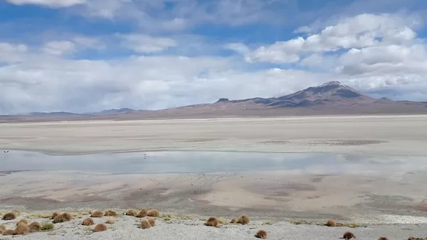Salar de Uyuni, en el departamento de Potosí, Bolivia - Sputnik Mundo