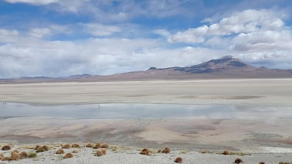 Salar de Uyuni, en el departamento de Potosí, Bolivia - Sputnik Mundo