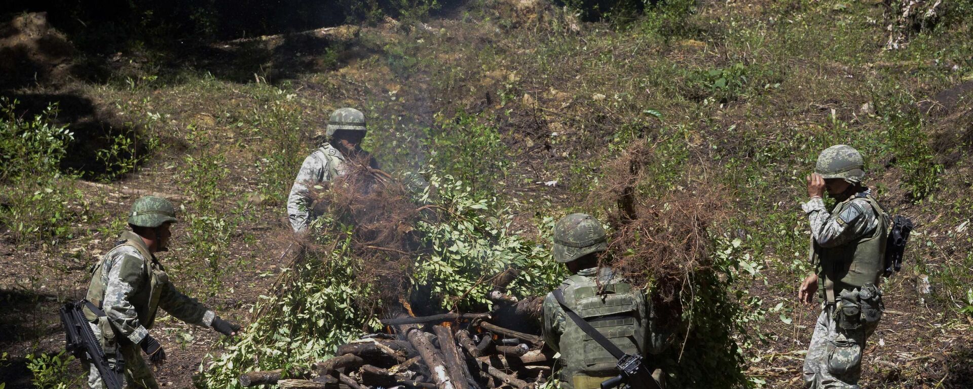 El Gobierno mexicano lanzó una iniciativa para combatir el tráfico ilícito de drogas sintéticas y armas. - Sputnik Mundo, 1920, 13.04.2023