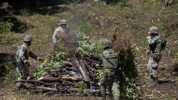 El Gobierno mexicano lanzó una iniciativa para combatir el tráfico ilícito de drogas sintéticas y armas. - Sputnik Mundo