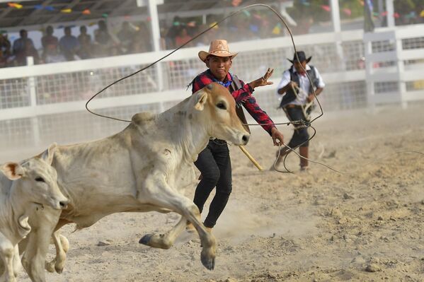Participante en el festival anual de dos días de rodeo Rupununi Ranchers en Lethem, Guyana. - Sputnik Mundo