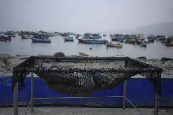Un pescador duerme en una red en el puerto de Ancón, Perú. Un pescador duerme en una red en el puerto de Ancón, Perú. - Sputnik Mundo