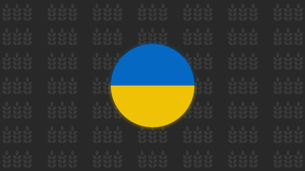 Aumento de las exportaciones ucranianas de cereales a los países vecinos  - Sputnik Mundo