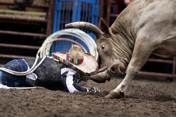 Un hombre participa en el tradicional Rodeo de la Prisión de Angola, celebrado por 57ª vez en la Prisión Estatal de Luisiana, EEUU. - Sputnik Mundo