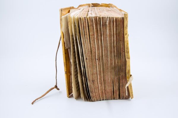 El Diccionario de la lengua moxa, de Pedro Marbán - Sputnik Mundo