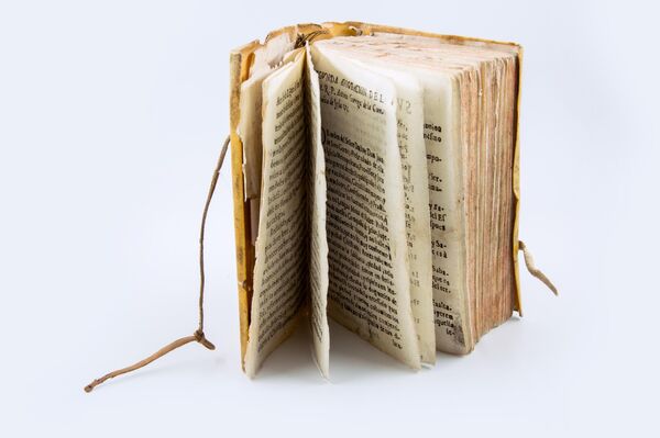 El Diccionario de la lengua moxa, de Pedro Marbán - Sputnik Mundo