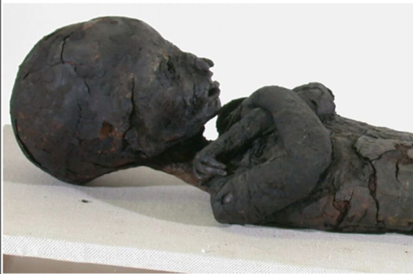 Fotografía que muestra a la momia en posición supina con los brazos cruzados sobre la mitad del pecho. Se conservan restos de envolturas textiles en las extremidades superiores e inferiores, así como en el torso. La piel y los textiles adoptaron un color oscuro ​​por las sustancias de embalsamamiento. El cráneo del niño es alargado. - Sputnik Mundo