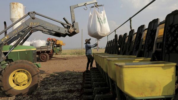 Un agricultor brasileño planta soja - Sputnik Mundo