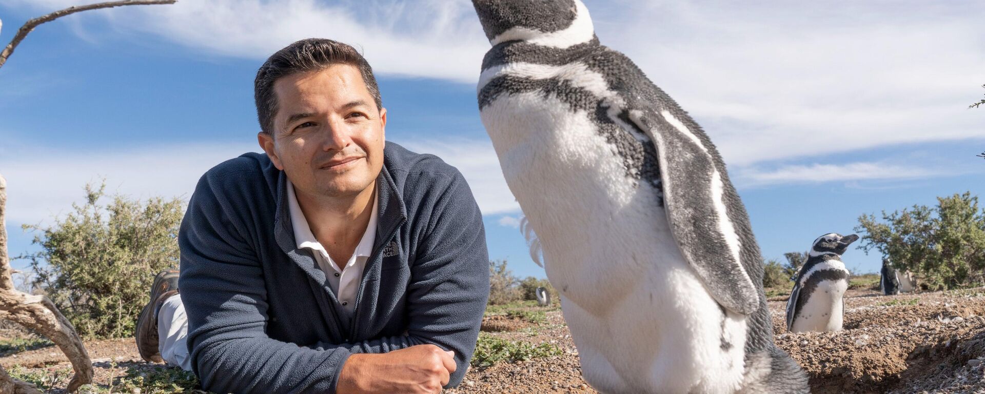 Biólogo marino argentino gana el Nobel de Conservación por su trabajo con pingüinos - Sputnik Mundo, 1920, 16.05.2023