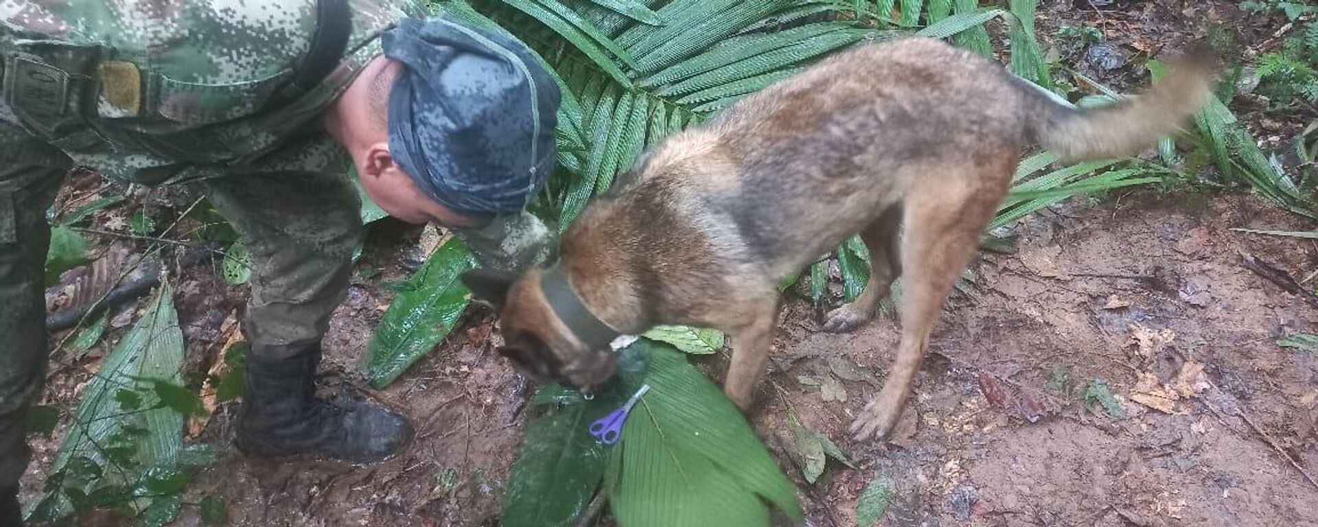 Tareas de rescate de las Fuerzas Especiales en Colombia - Sputnik Mundo, 1920, 17.05.2023
