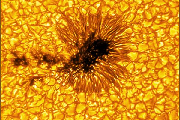 Una mancha solar se identifica por su umbra central oscura y la penumbra que la rodea, estructurada en filamentos. Aunque esta imagen muestra la presencia de fragmentos umbrales, es extraordinariamente raro captar el proceso de formación o descomposición de una penumbra. Umbra: región central y oscura de una mancha solar, donde el campo magnético es más intenso. - Sputnik Mundo