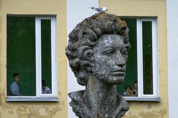 Una gaviota anidó en un monumento al gran poeta ruso Aleksandr Pushkin en el patio de la escuela del pueblo de Nazia, región de Leningrado, Rusia. - Sputnik Mundo