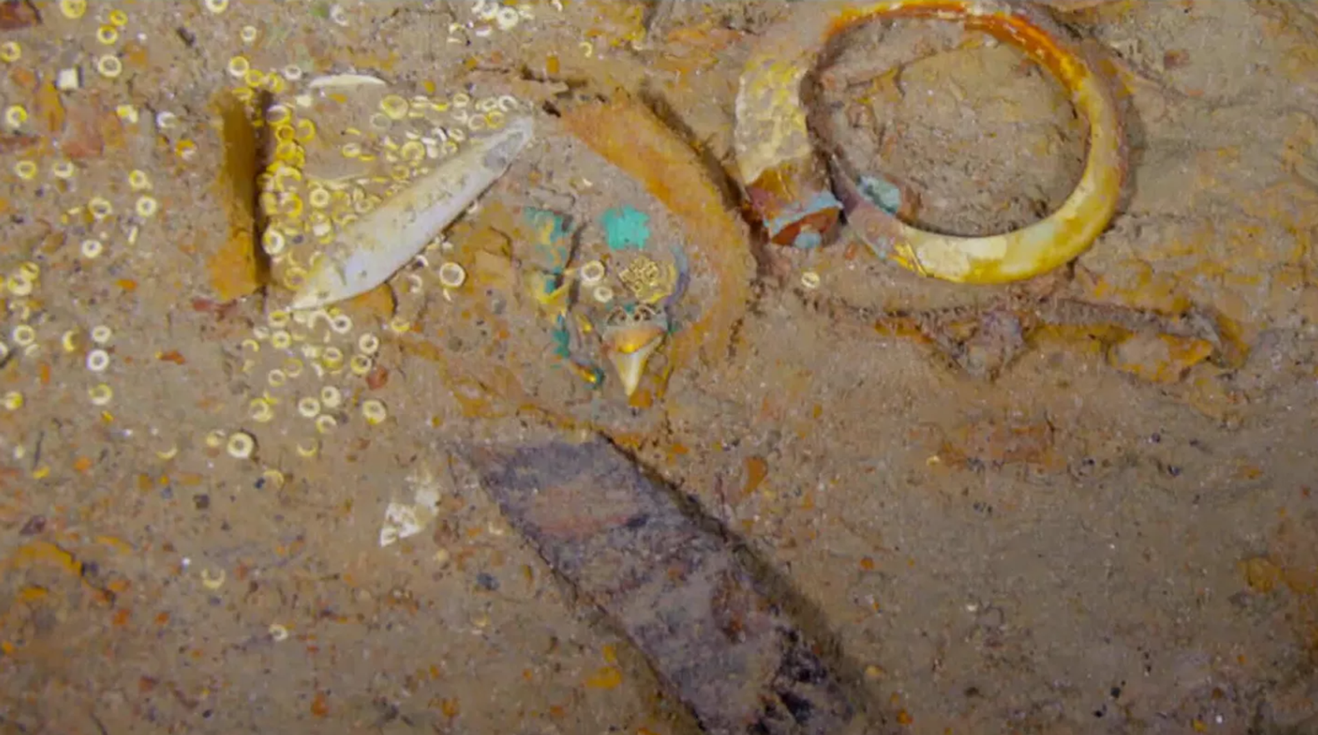 Encuentran en el Titanic un collar hecho con un diente de megalodón - Sputnik Mundo, 1920, 31.05.2023